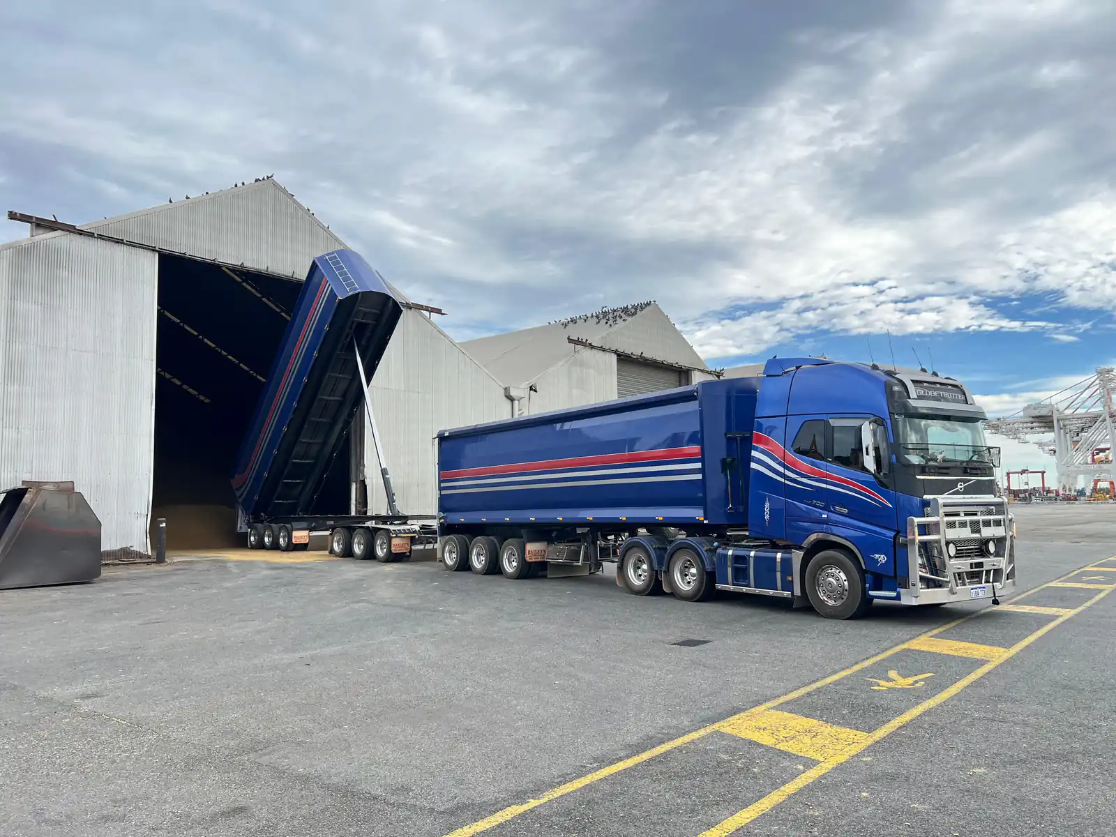 Blue Volvo road train unloading grain beside storage sheds in daylight